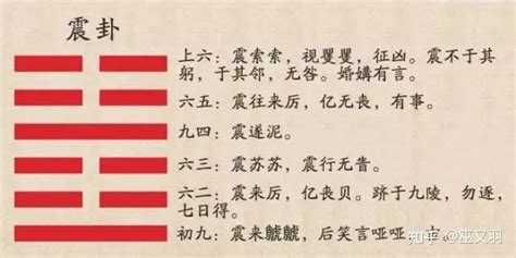 震卦代表|震卦类象详解大全